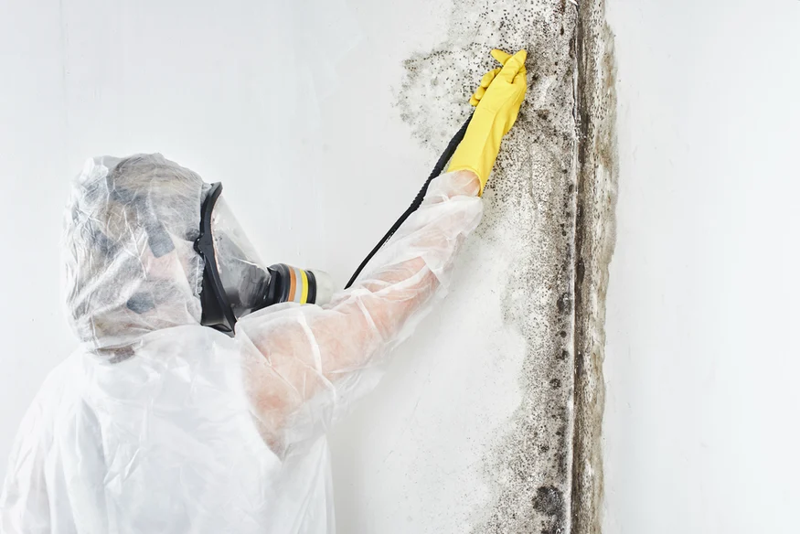 Mold Removal in Twin Cities