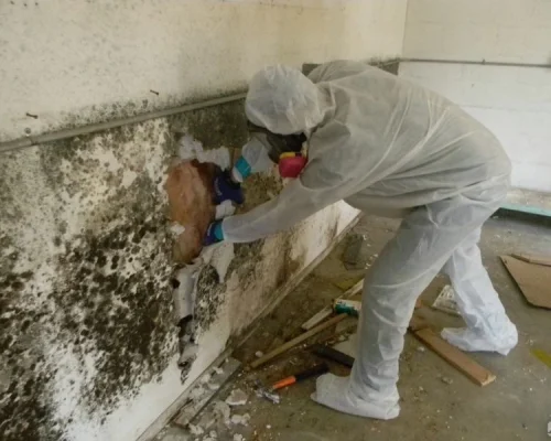 Urgent Water Mitigation Help Blaine 3 Water Damage Mitigation Blaine
