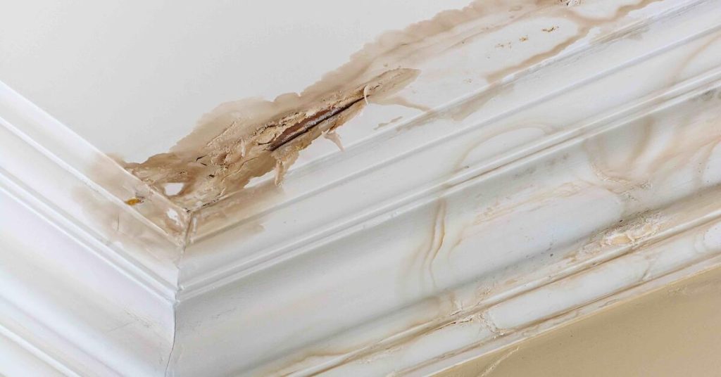 How to Identify Water Damage on Your Ceiling 1 Water Damage