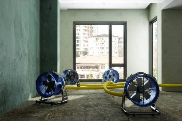 Water Damage Restoration Services in Edina