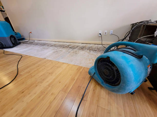 Water Damage Restoration in Roseville