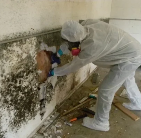 Old Home 7 water-damage-restoration- arden-hill