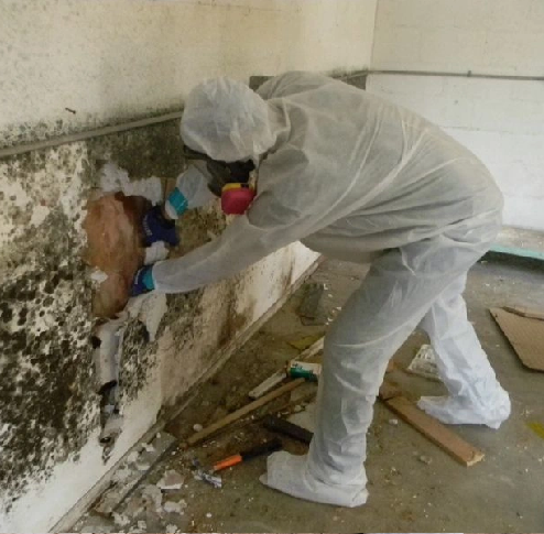 Flood Damage Restoration Circle Pines 1 Professional flood cleanup and water removal services