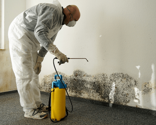 Water Restoration Services