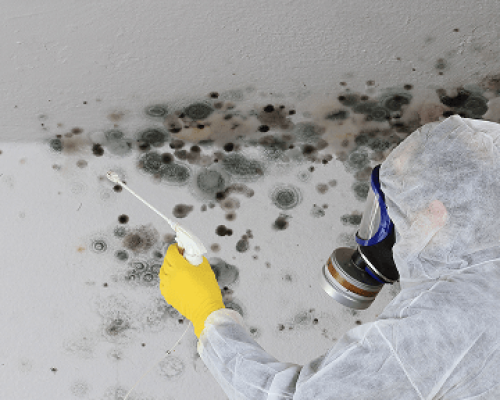 Restoration Services