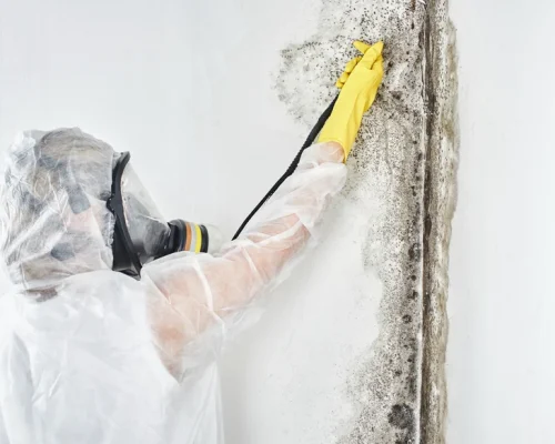 Mold Removal in Twin Cities