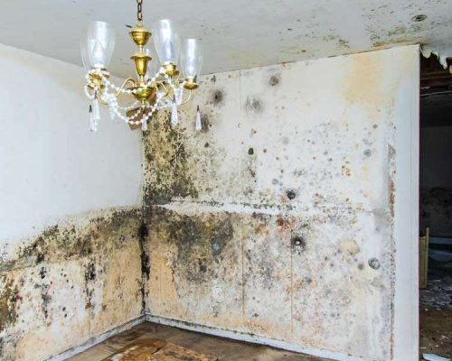 Mold